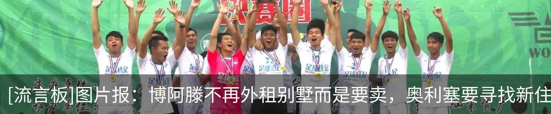新闻动态